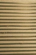 Bambuk-trostneyk-art.D-3001L