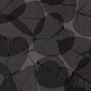 Listya-Prima-Ahumado