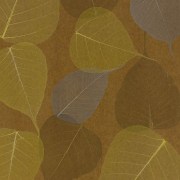 Listya-Prima-Dorado