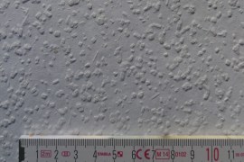 Rauhfaser_75_2