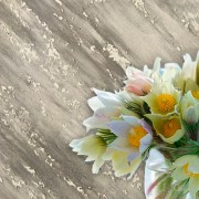 alpy_decor_enl