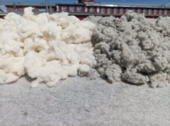 ecofleece2