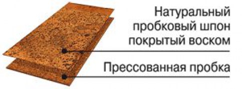 nastennaya-probka1