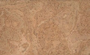 pk317n1