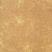sahara_enl