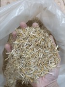 sechka-solomy-1