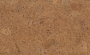 /ck319n