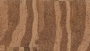 /tc-158